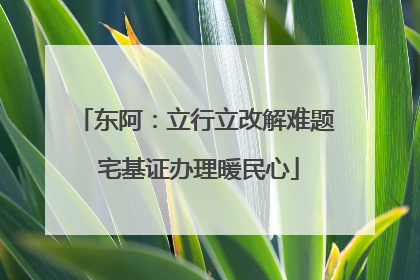 东阿：立行立改解难题 宅基证办理暖民心